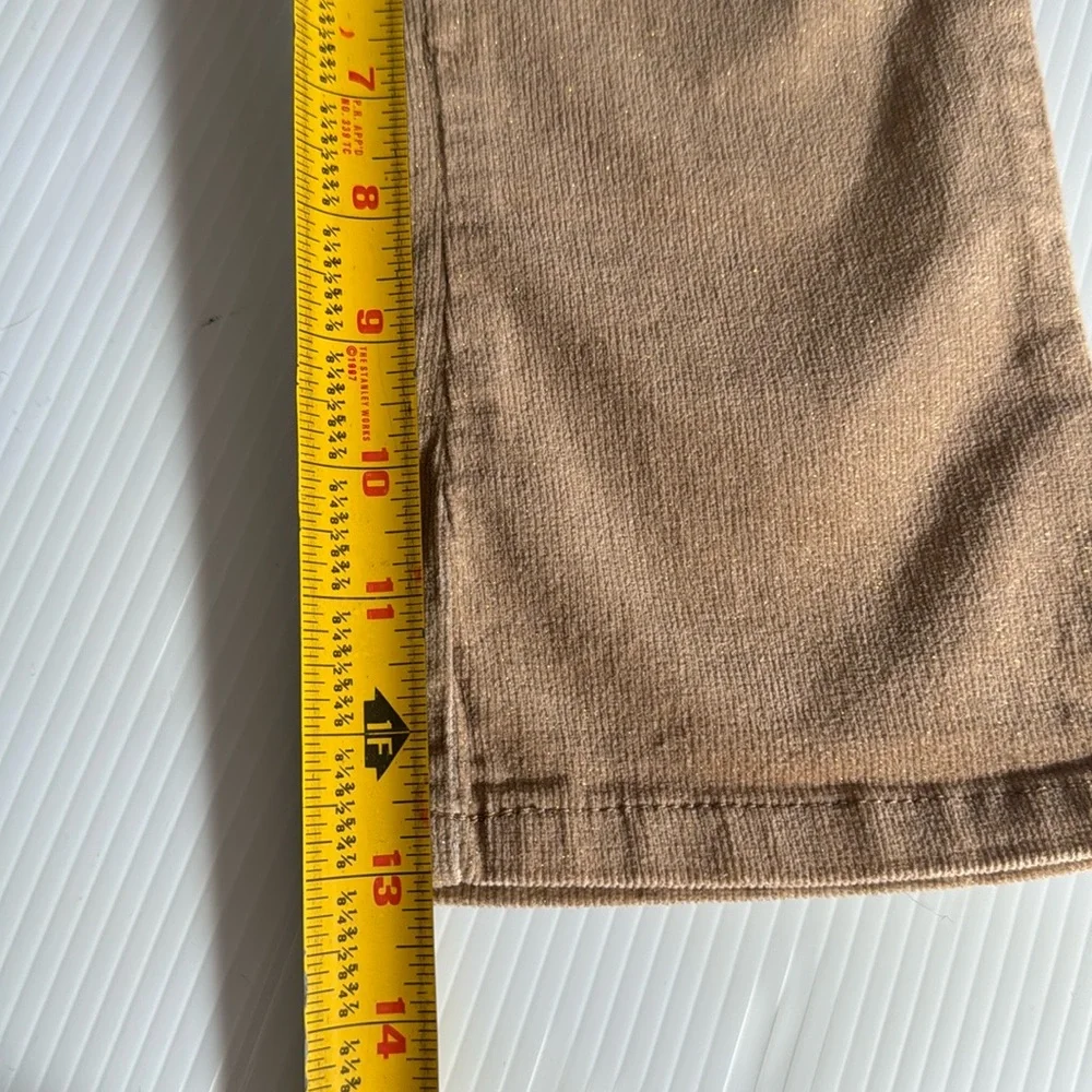 The Children’s Place light tan with gold glitter corduroy pants. Girls size 3T